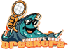 Newport Beach Breakers Tennis